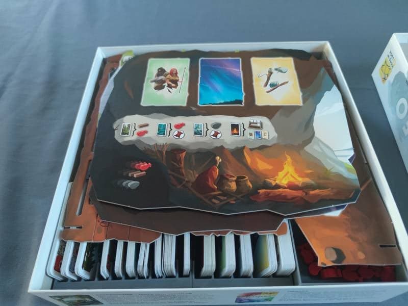 Paleo Insert thumbnail 3